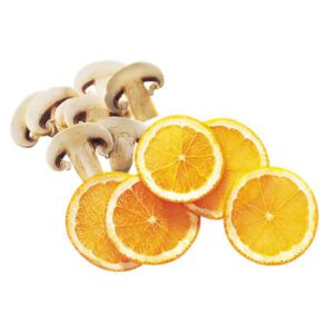 DISCOS REBANADORES ROBOT COUPE